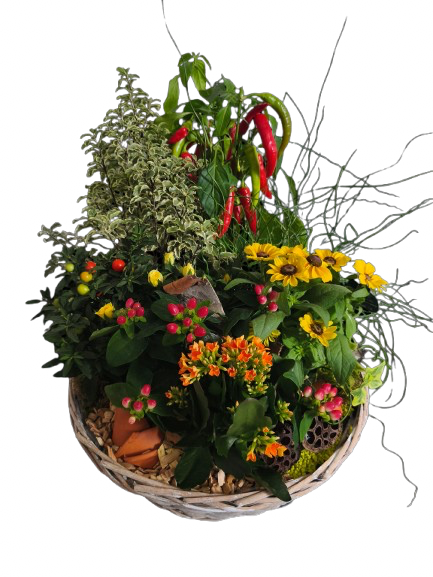 Panier de plantes